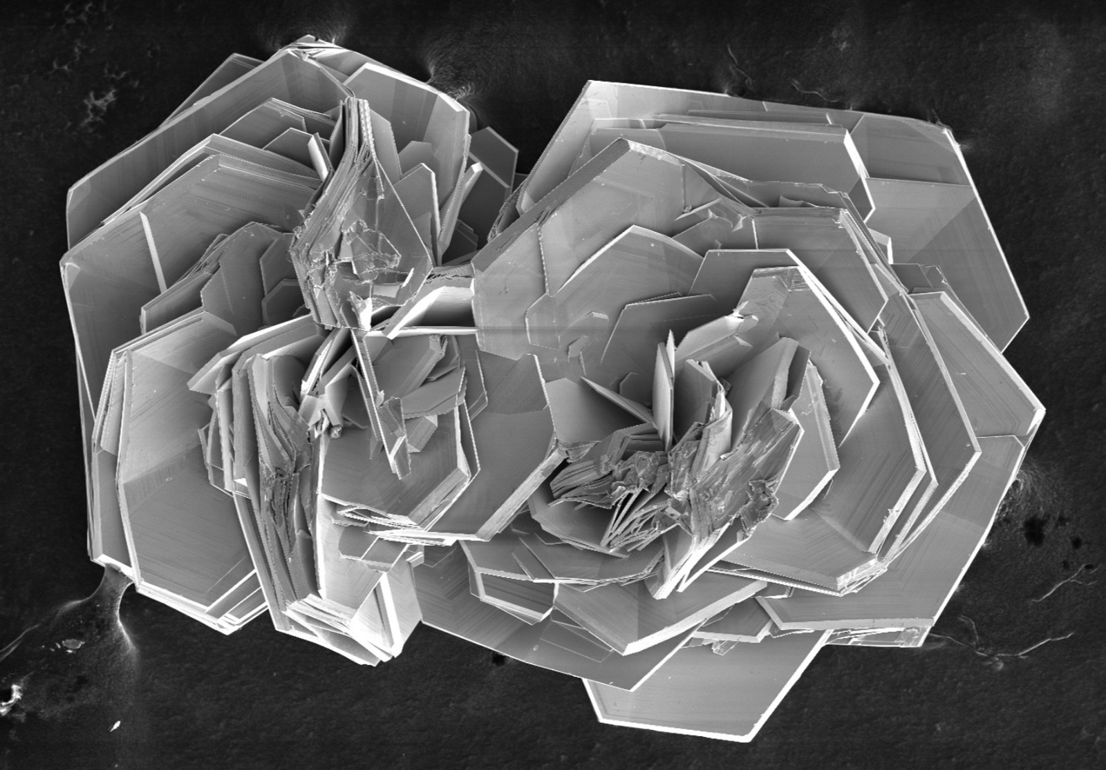 Quantum Materials