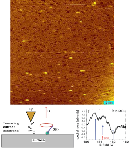 Magnetic Resonance on the single atom level