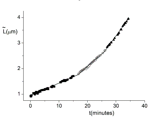 Single Cell Dynamics