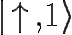 \Huge |\uparrow,1 \rangle