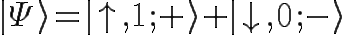 \Huge |\Psi\rangle = |\uparrow,1;+ \rangle + |\downarrow,0;- \rangle