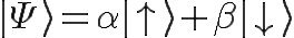 \Huge |\Psi\rangle = \alpha |\uparrow\rangle + \beta|\downarrow\rangle