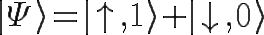 \Huge |\Psi\rangle = |\uparrow,1 \rangle + |\downarrow,0 \rangle