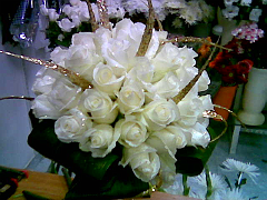 wedding020