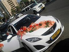 תמונה340