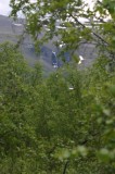 IMG_6453 * 1360 x 2048 * (1.44MB)