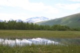 IMG_6457 * 2048 x 1360 * (1.73MB)