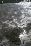 IMG_6461 * 1360 x 2048 * (1.13MB)