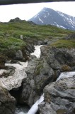 IMG_6495 * 1360 x 2048 * (2.02MB)