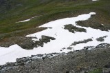 IMG_6502 * 2048 x 1360 * (2.31MB)