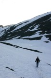 IMG_6529 * 2048 x 3072 * (3.47MB)