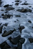 IMG_6567 * 1360 x 2048 * (1.65MB)
