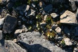 IMG_6577 * 2048 x 1360 * (2.8MB)