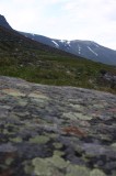 IMG_6609 * 1360 x 2048 * (1.26MB)