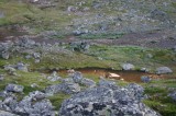 IMG_6612 * 2048 x 1360 * (2.7MB)