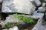 IMG_6613 * 2048 x 1360 * (2.14MB)