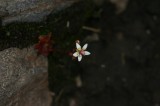 IMG_6614 * 2048 x 1360 * (943KB)