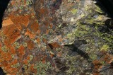 IMG_6660 * 2048 x 1360 * (3.45MB)
