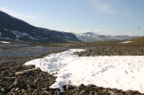 IMG_6663 * 2048 x 1360 * (1.75MB)