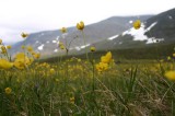IMG_6675 * 2048 x 1360 * (1.17MB)