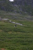 IMG_6682 * 1360 x 2048 * (1.77MB)
