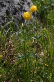 IMG_6698 * 1360 x 2048 * (1.44MB)