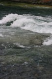 IMG_6741 * 1360 x 2048 * (1.38MB)