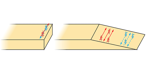 Synopsis figure